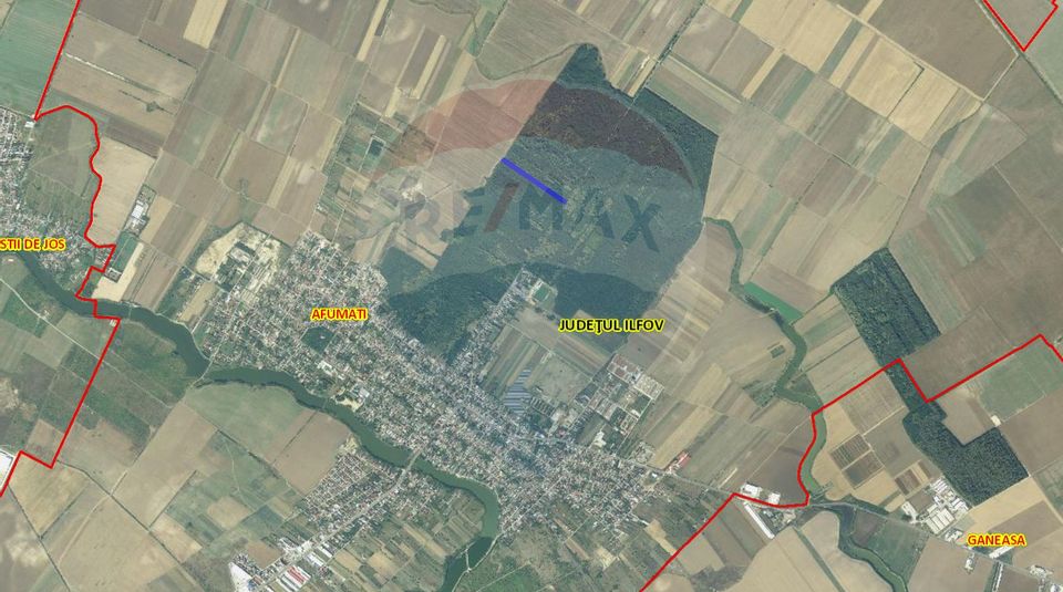 Teren 10,000mp Afumati | Padure | Soseaua Petrachioaia