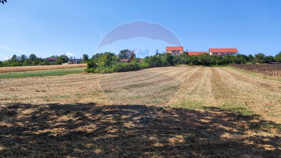 Land 12,818sqm Santimreu / Strada Principala