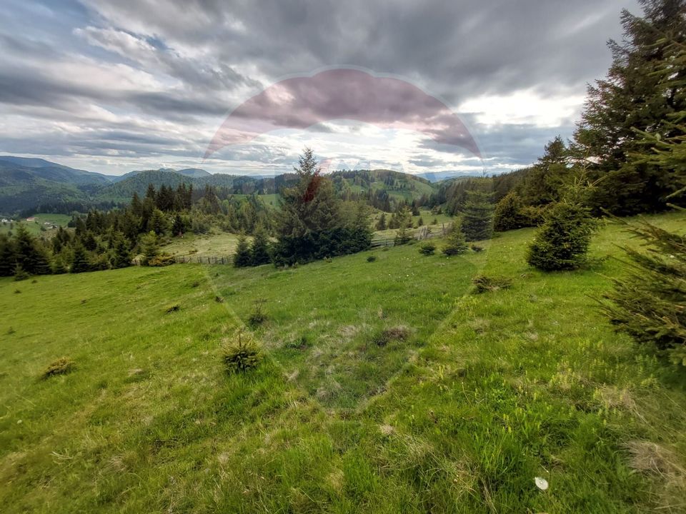 O fereastră către cer – teren de vis în Fundata, la poalele Bucegilor