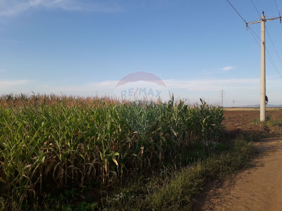 Land 28,000sqm Harman / Drumul Fara nume