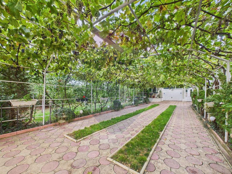 10 room House / Villa for sale, Central area