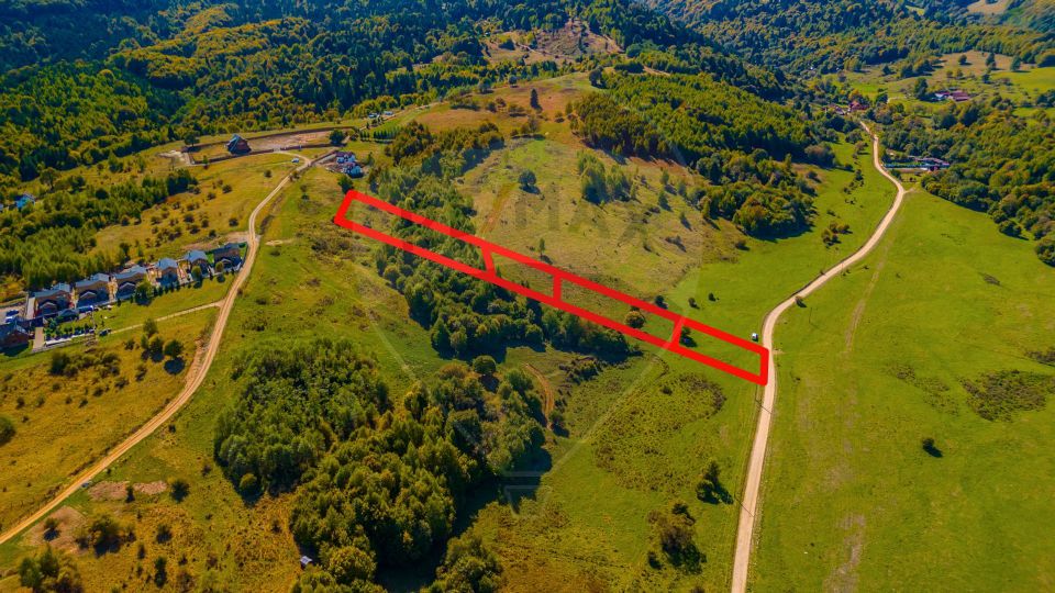 Teren 1,574mp Rasnov, Strada Valea Panicelului- varf de deal