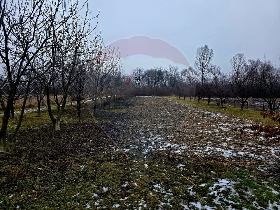 Land 4,516sqm Doina / Strada PRINCIPALA