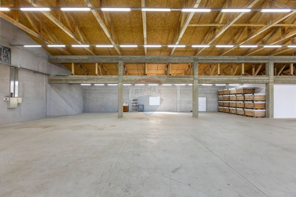 Hală 1.000 mp + curte 3.200 mp + CASĂ 160 mp BONUS | Acces TIR | Bacău