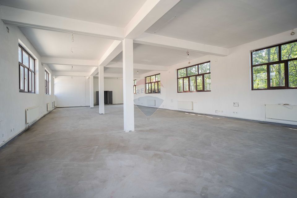 Hală industrială modernă de vânzare – Tomesti, Iași - 0% Comision