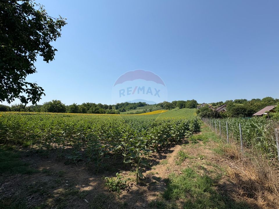 Land 9,012sqm Saucesti / Strada Cireșului