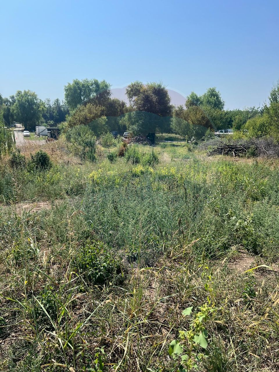 Teren de vanzare / 2,500 mp pe Malul Lacului Tancabesti /Ilfov