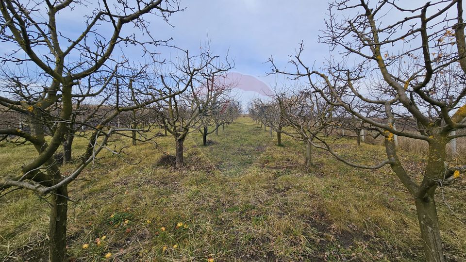 Teren extravilan 10,791mp Falticeni / Strada DJ209A, Opriseni