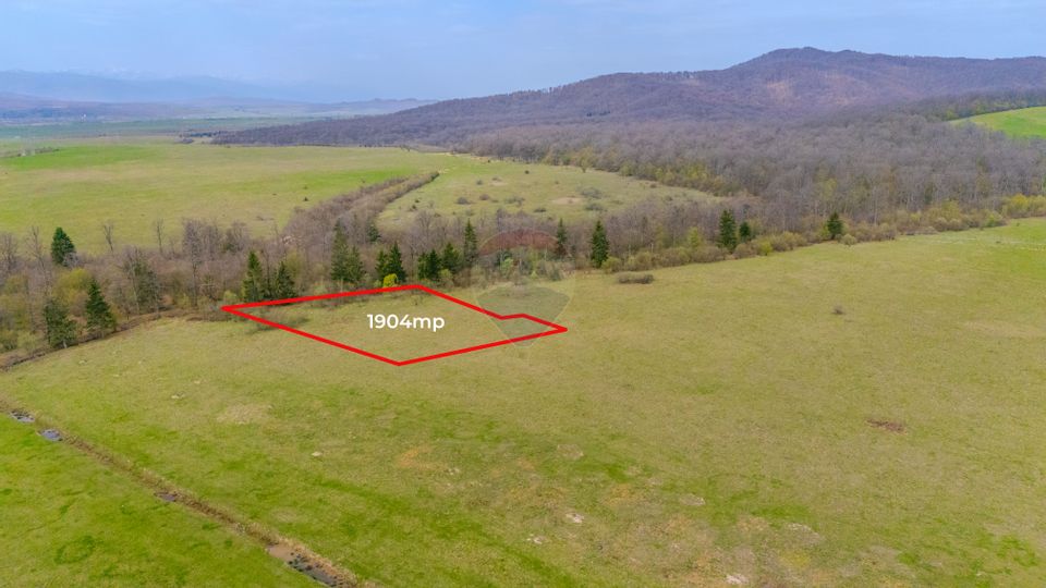 Teren Crizbav 1904 mp/PUZ/Langa Padure/Intravilan