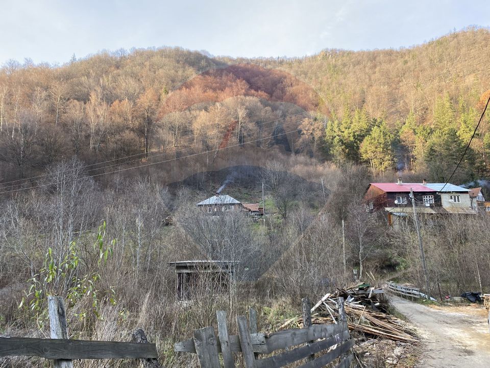Land 1,000sqm Valea Ierii / Drumul Principala
