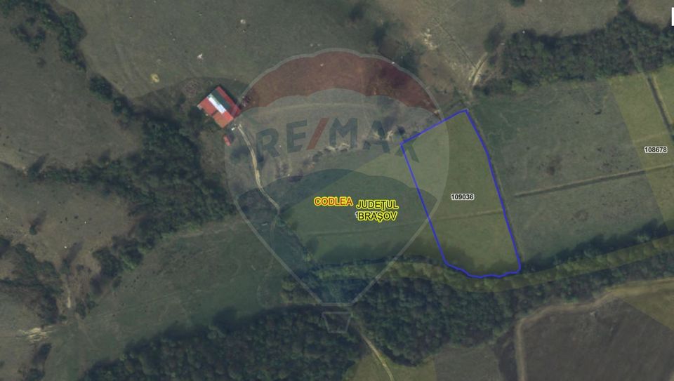 Teren 10,000mp Codlea / DN 1