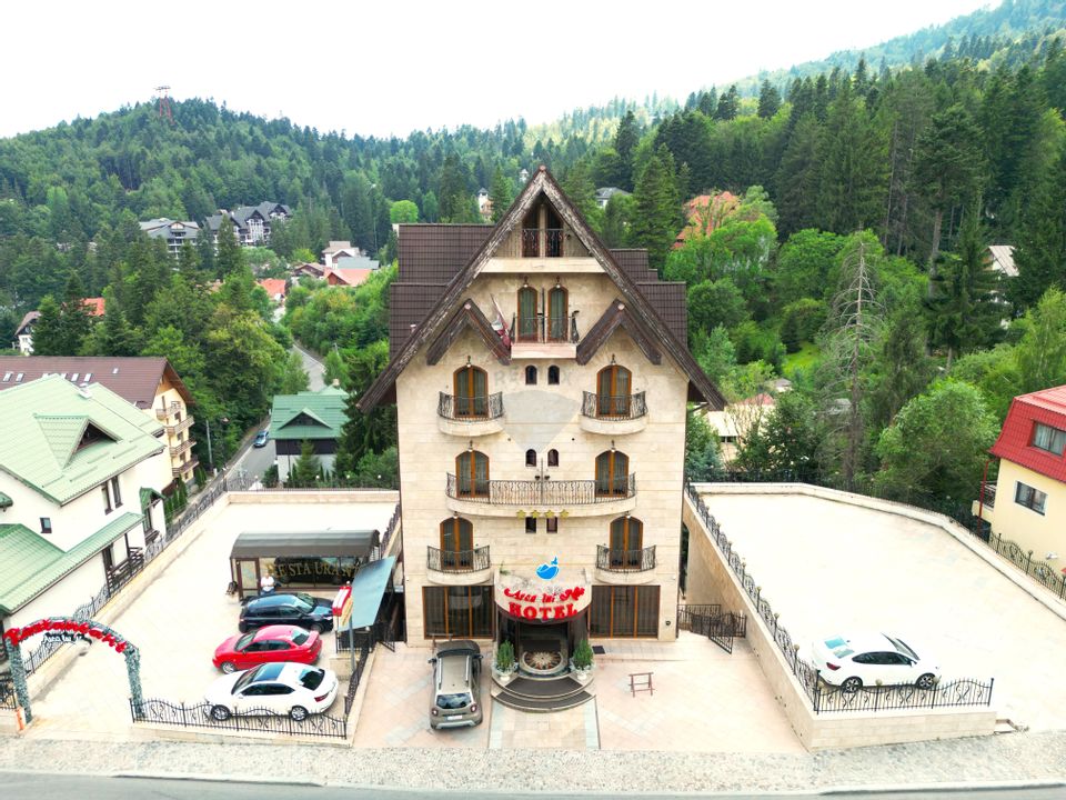 36 room Hotel / Pension for sale, Furnica area