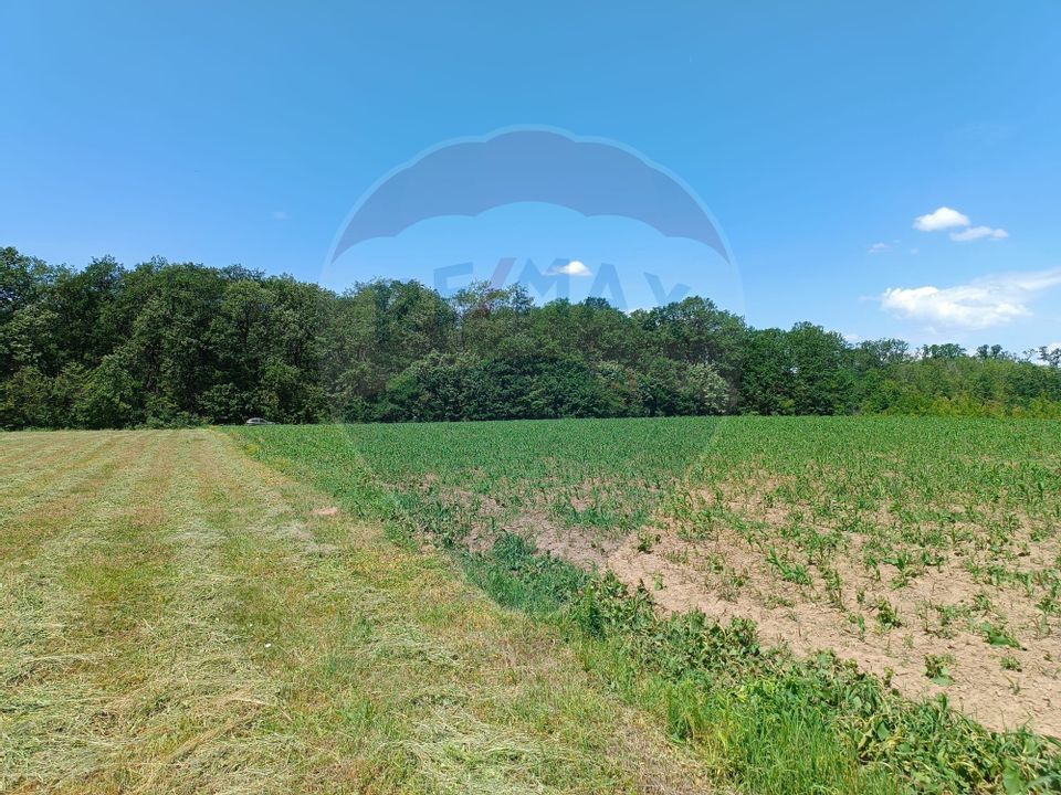 VANZARE teren intravilan agricol 5200 mp la padure Peris