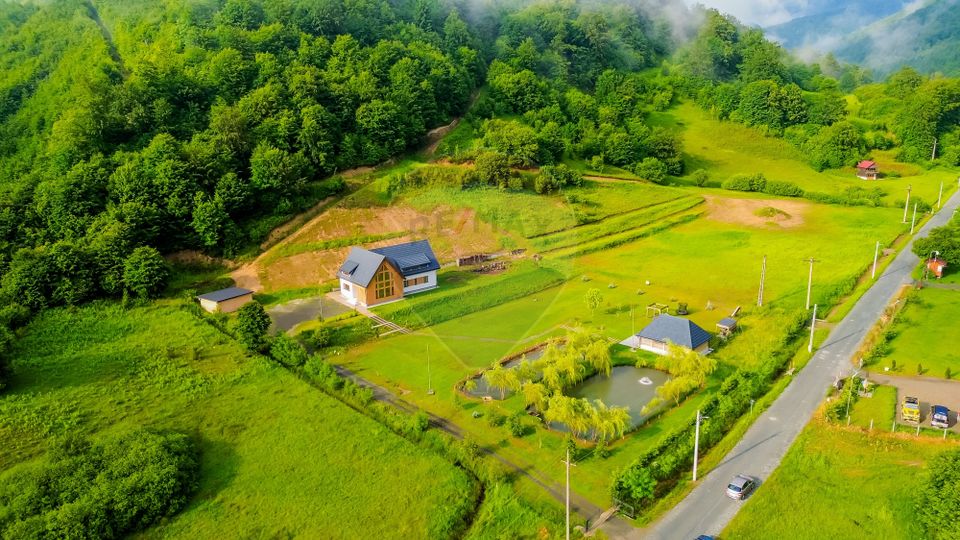 8 room House / Villa for sale