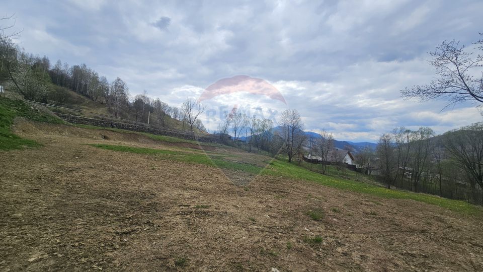 Land 2,910sqm Chiriteni / DN 15