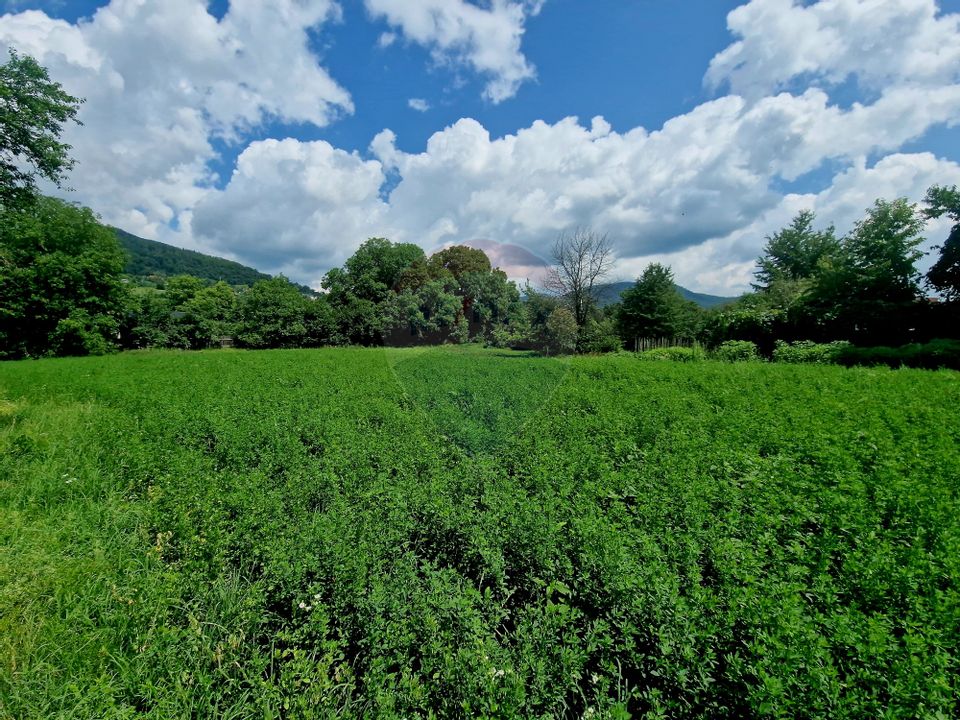 Teren intravilan 1000 mp – Viișoara, utilități