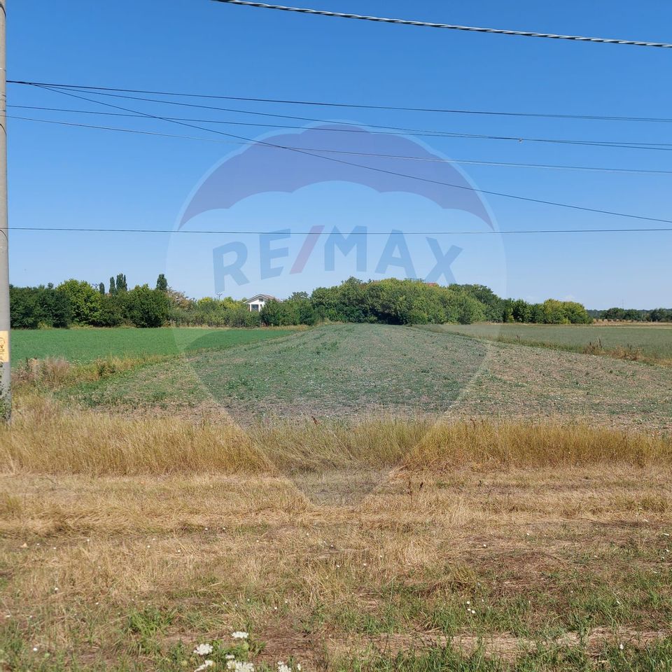 Land 7,500sqm Buftea / Soseaua Tamasi