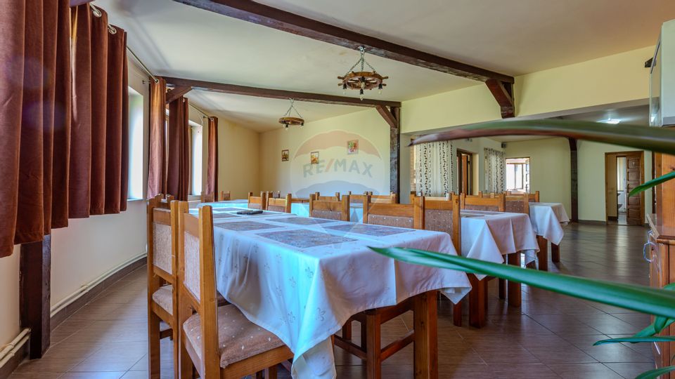 Hotel / Pensiune cu 10 camere de vânzare/Vama Buzaului