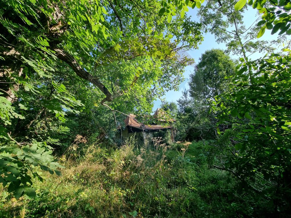 Teren cu Casa Veche in suprafata de 6000 mp, Breaza de Jos -Parcelabil