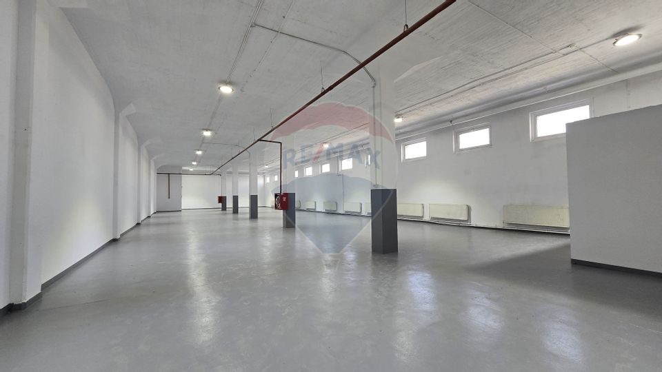 450sq.m Industrial Space for rent, Timisoara area