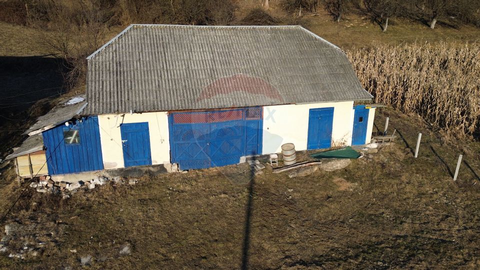 De vânzare casă de vacanță in Boiereni