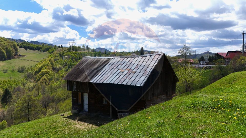 Land 5,694sqm Moieciu / Drumul Drumul Carului