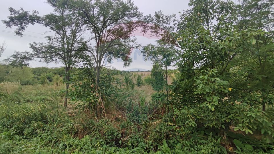 Teren 2.341 mp Uileacu de Munte front 25 ml la drum asfaltat