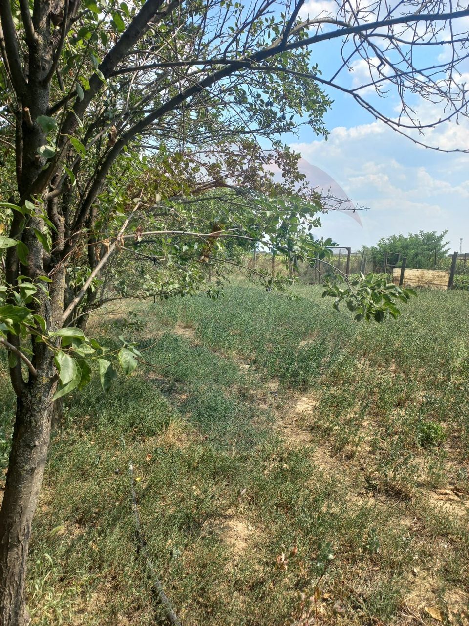 Land 1,224sqm Afumati / Soseaua Petrachioaia