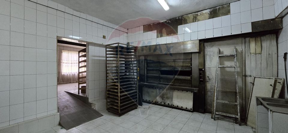 10 room House / Villa for sale