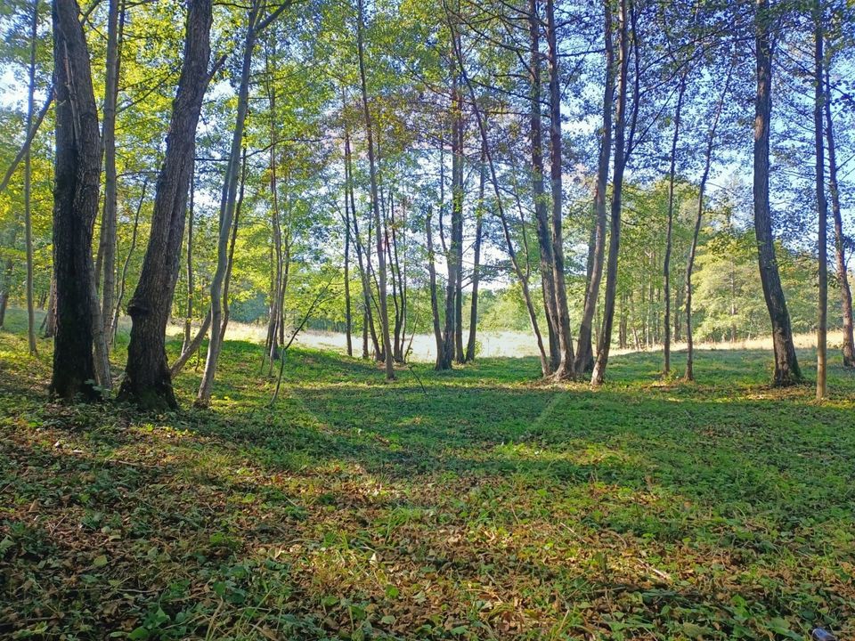 4 room House / Villa for sale