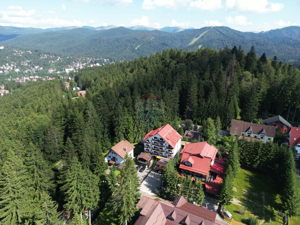 14 room Hotel / Pension for sale, Vladet - Trei Brazi area