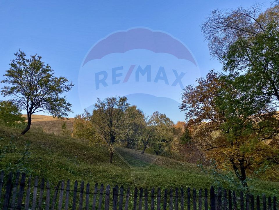 Land plot for sale Prahova -Secaria-Baiului Mountains