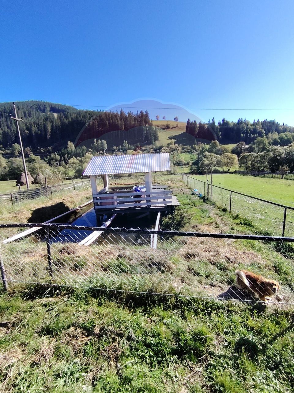 Casă în Vatra Dornei, zona Argestru, cu 11.541m.p. TEREN INTRAVILAN