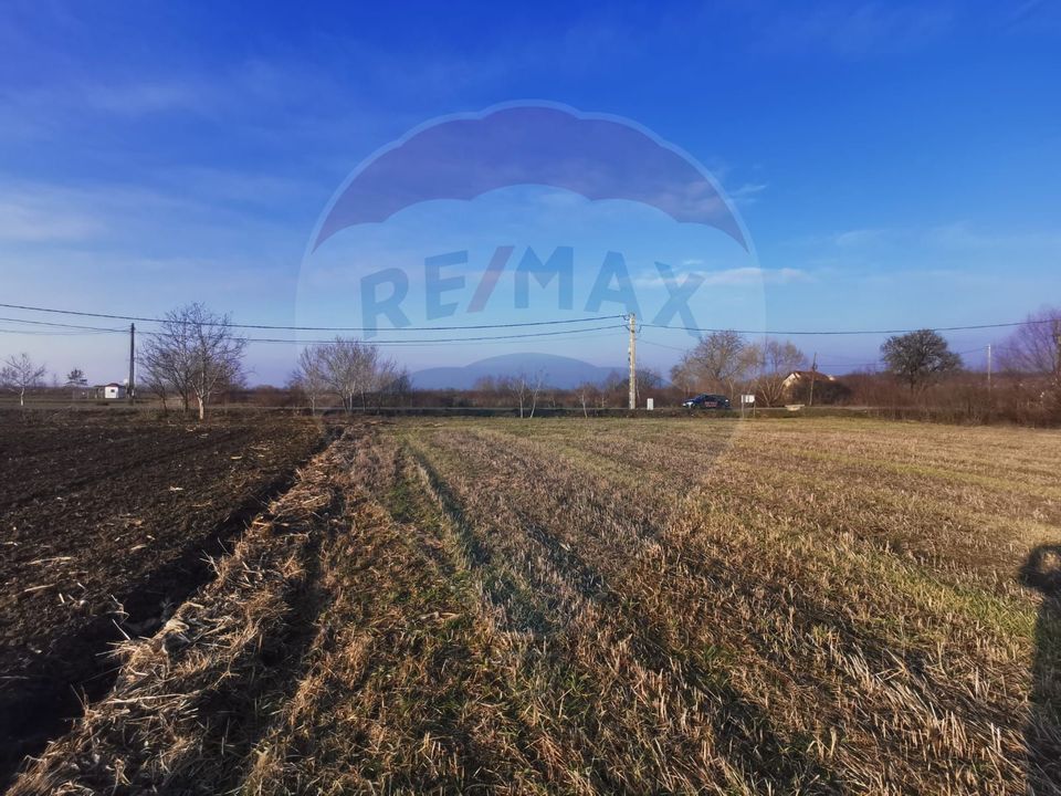 Land 4,400sqm Finteusu Mare / Stradela Principala