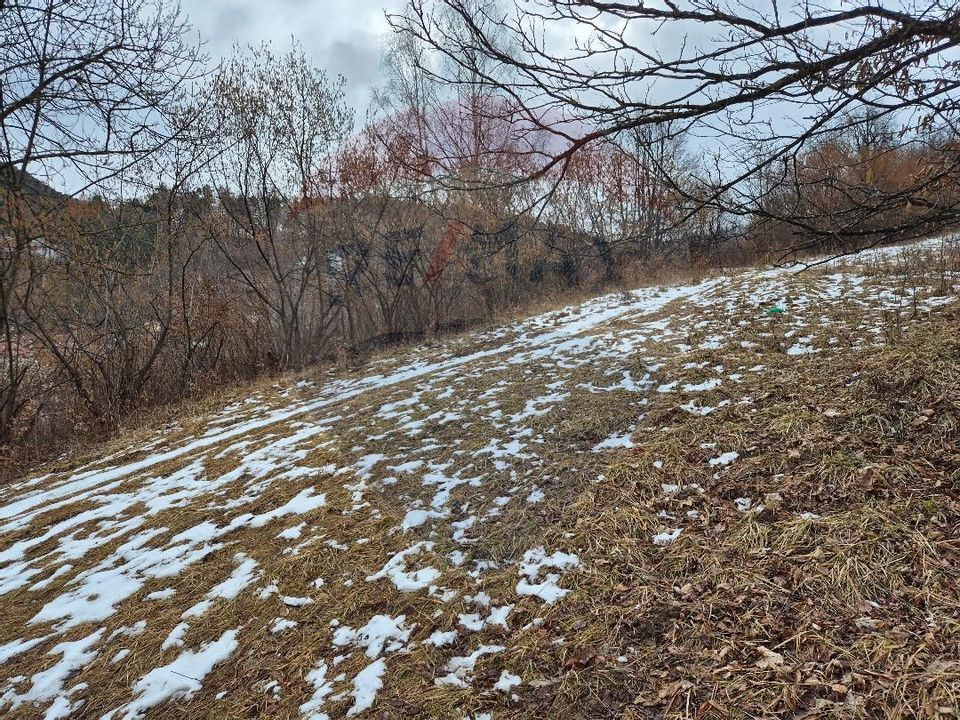 Teren 1,577mp Brasov / Strada Valea Tei