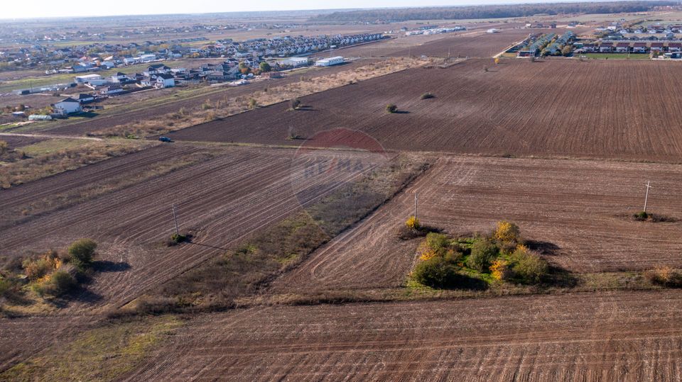 Land 7,400sqm Sabareni / Strada Primaverii