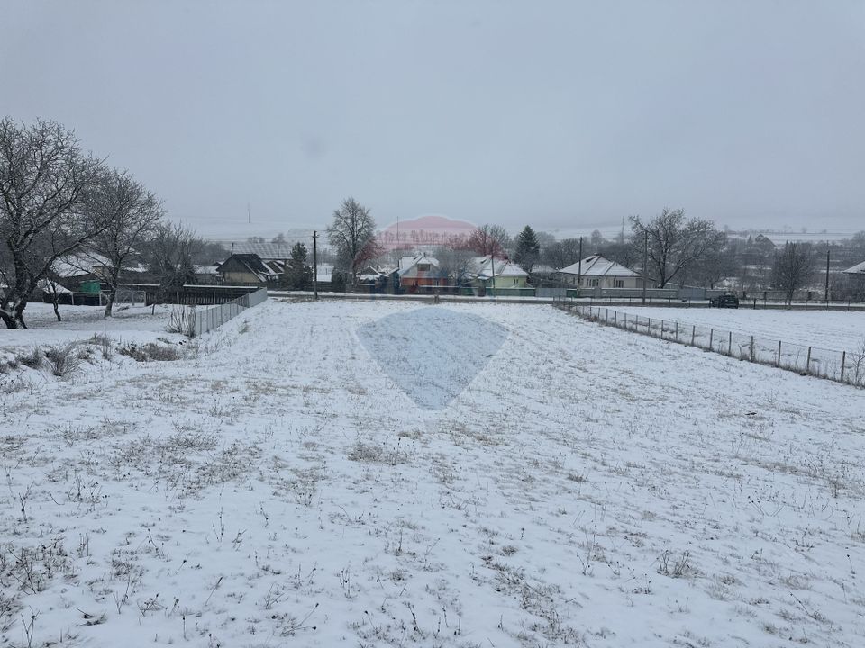 Land 8,300sqm Negresti (Dobreni) / Drumul DEALUL OTEL