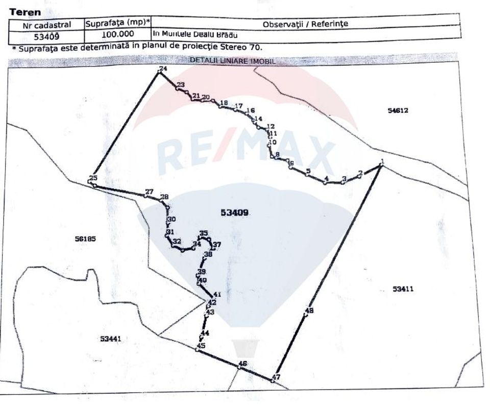 Teren Extravilan-Pădure de 27 hectare de vânzare în Borșa