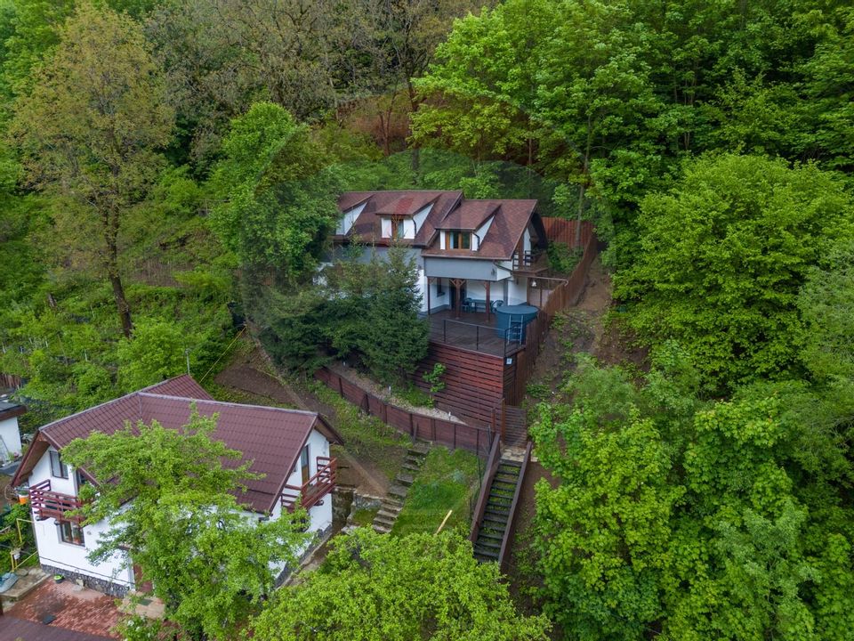 Casa in inima naturii - Brașov