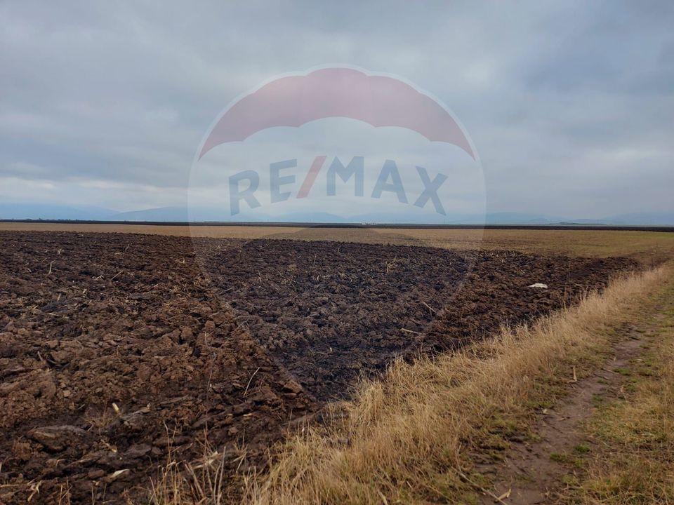 Land 18,200sqm Harman / Strada FN