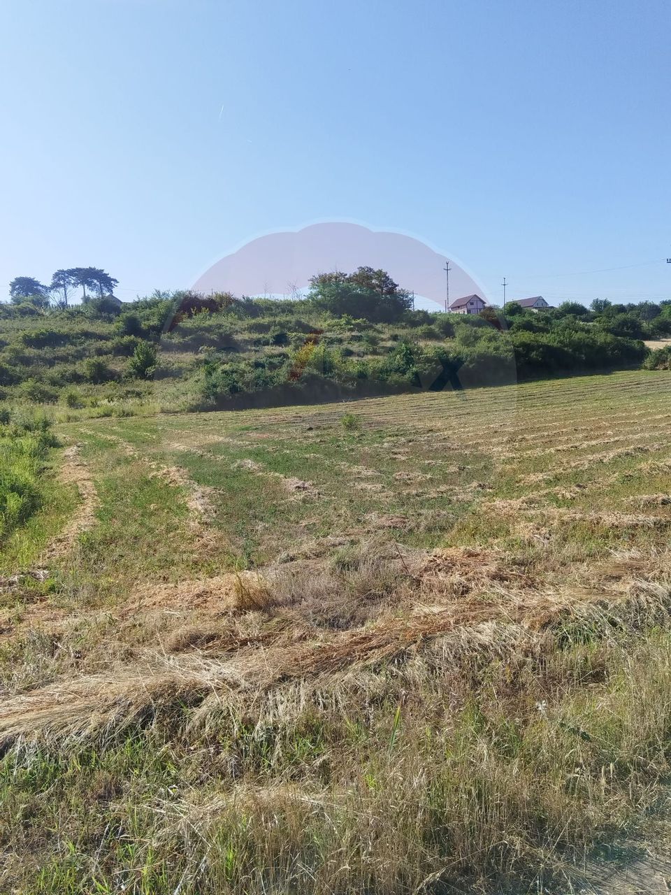 Teren 2,000mp Bradesti / None