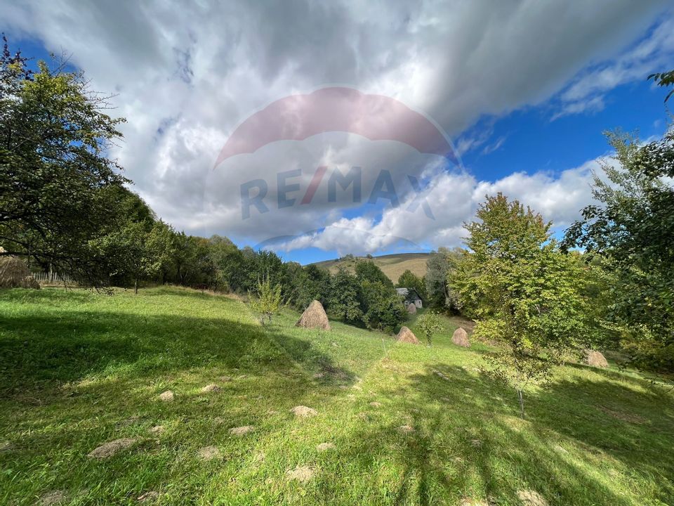 Land plot for sale Prahova -Secaria-Baiului Mountains