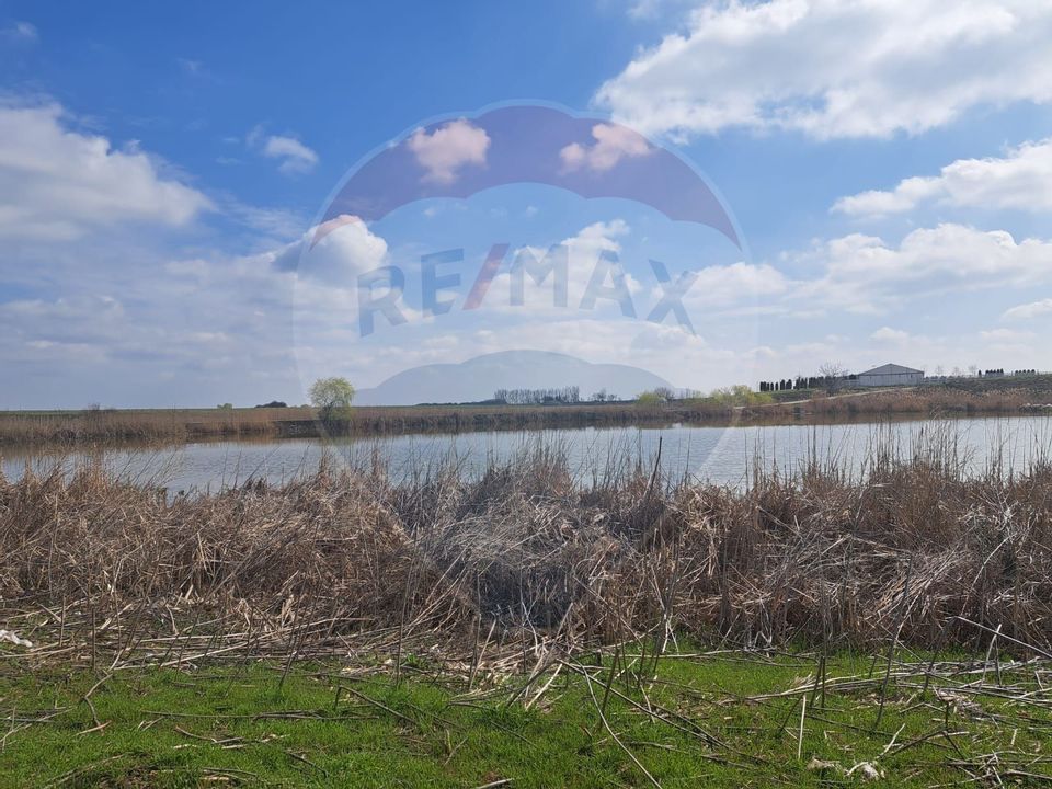 Teren Frumusani DN4 2000 mp + 5000 mp  deschidere Lac Pasarea