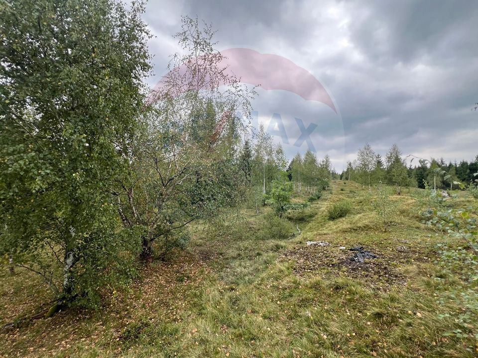 Teren extravilan parcelabil Călățele Pădure, zona Dealu Negru