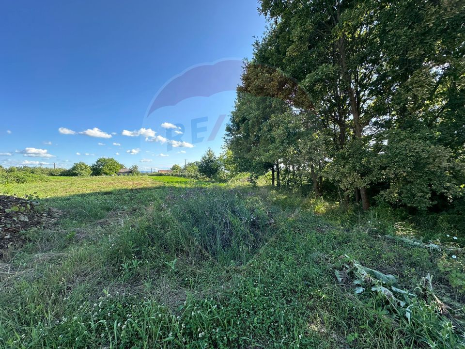 TEREN pentru "ACASA "- Bozanta Mica