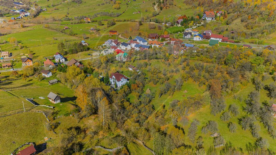 Pensiunea Scărișoara – Refugiul din Inima Rucărului | Comision 0%