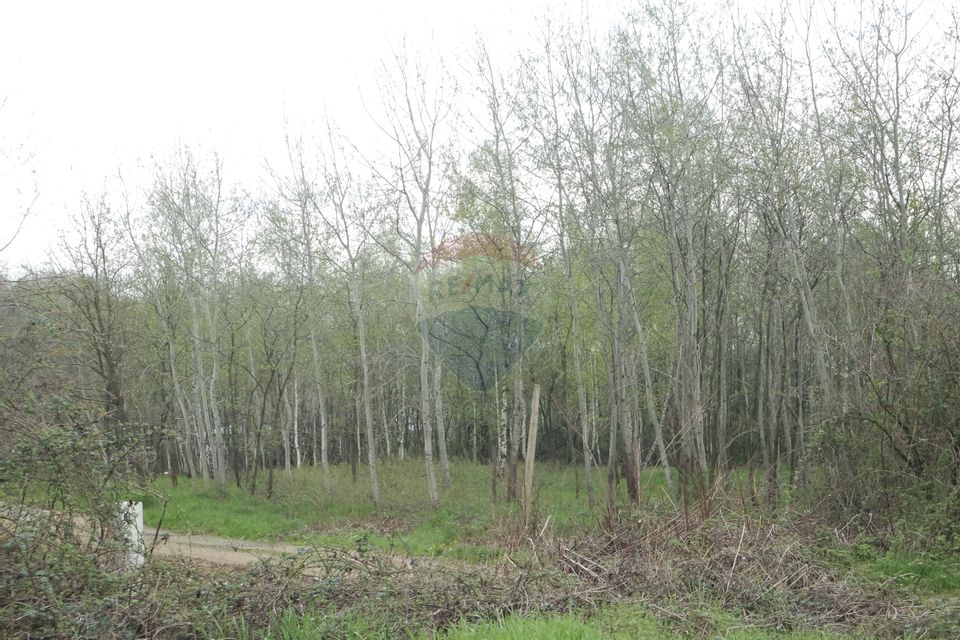 Land 1,900sqm Baia Mare / Strada 124