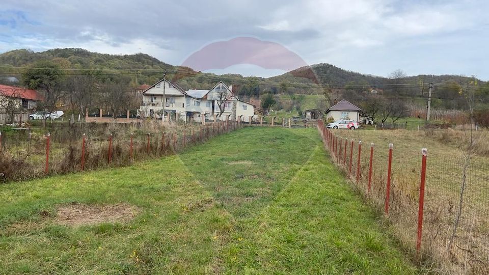 Land 2,900sqm Cicarlau / Strada Cicarlau vii