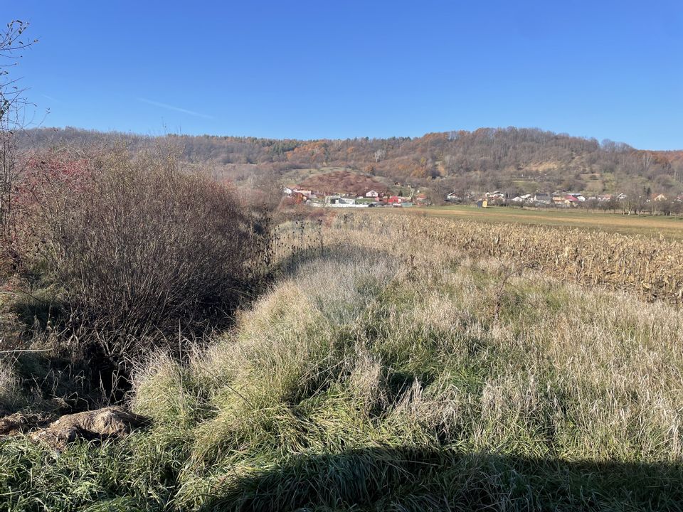 Teren de vanzare in Micesti (langa primarie)