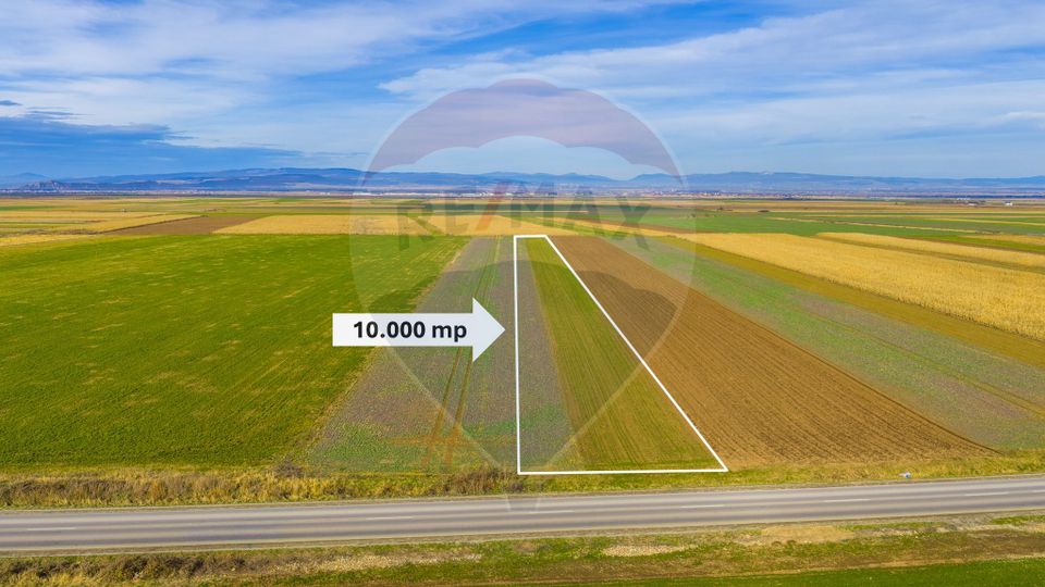 Teren 10,000mp Tarlungeni